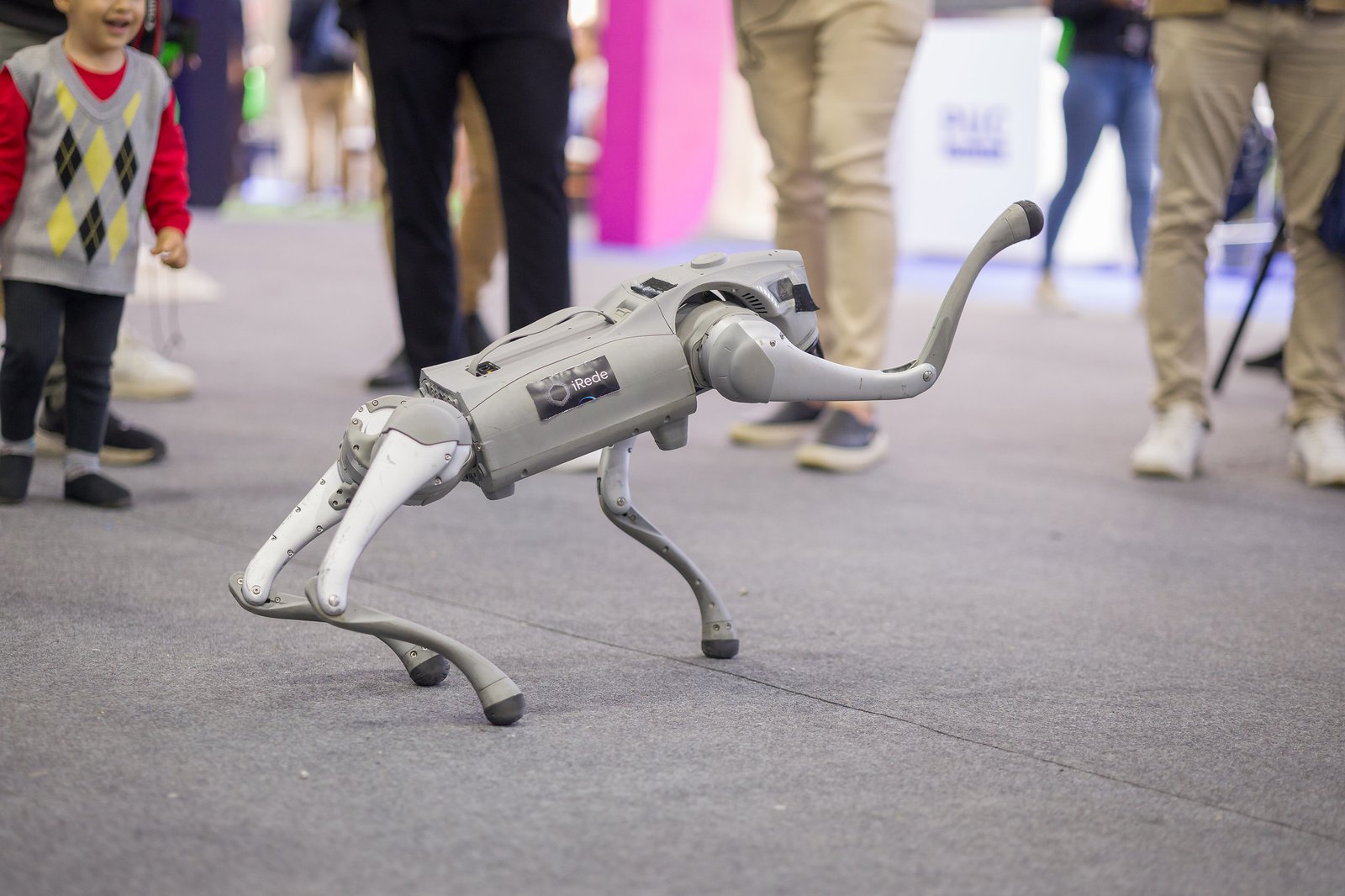 Robos (7)